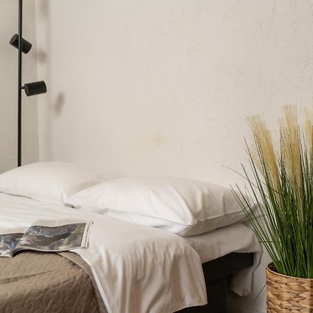 Air Apartment 102 ヴィリニュス エクステリア 写真