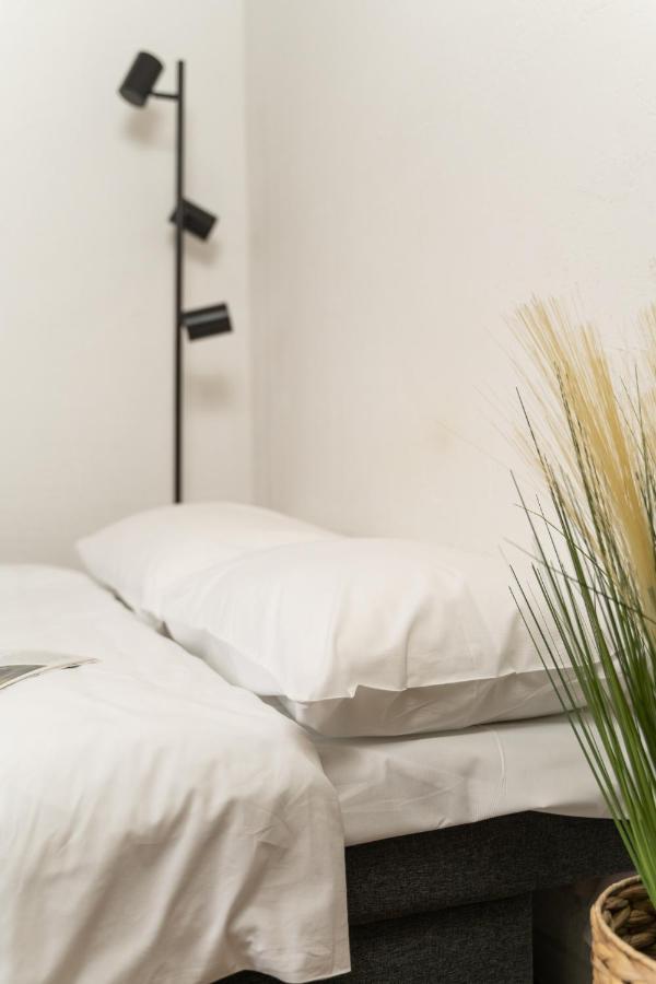 Air Apartment 102 ヴィリニュス エクステリア 写真