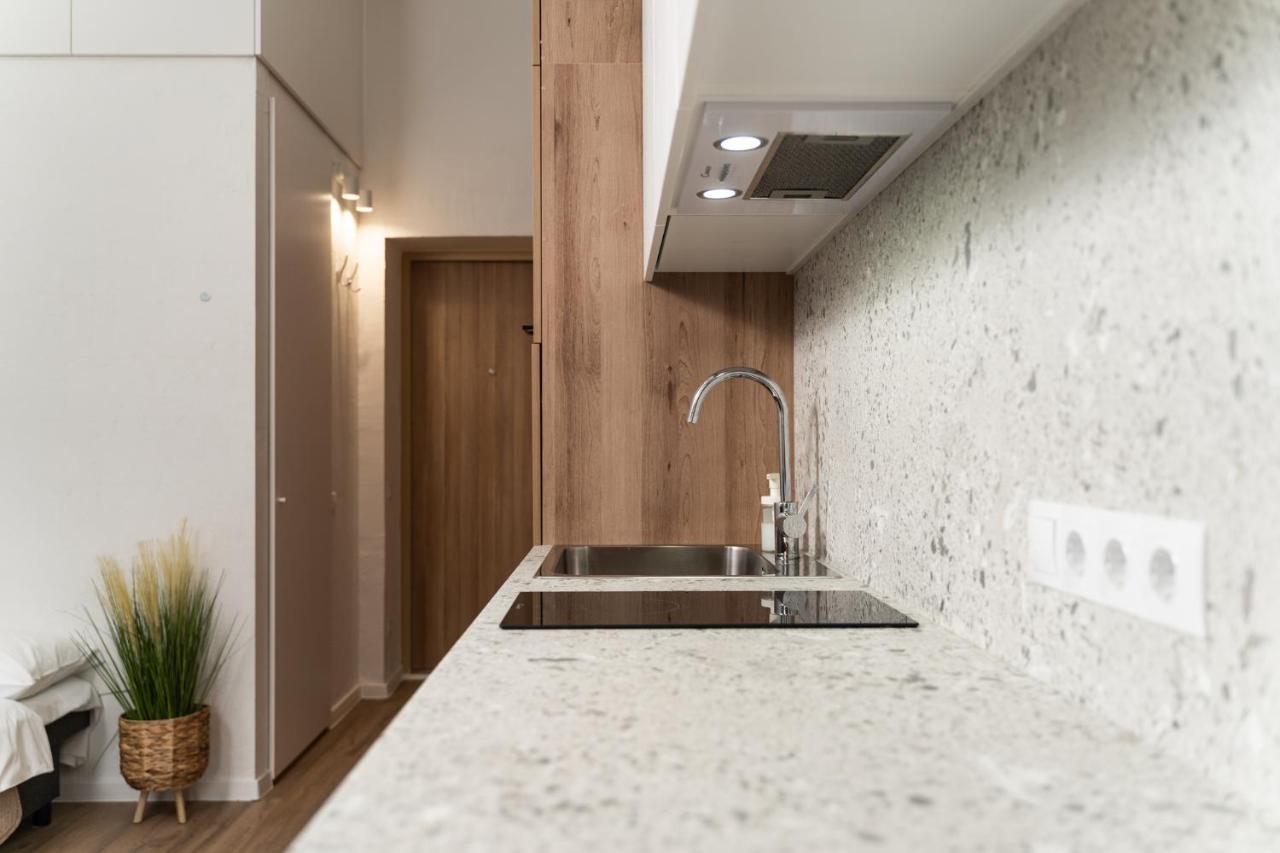 Air Apartment 102 ヴィリニュス エクステリア 写真